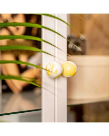 Yellow beech wood furniture knob design handle close-up slightly angled view mounted on a glass door