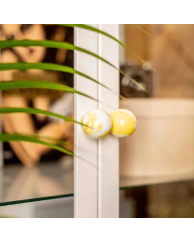 Yellow beech wood furniture knob design handle close-up slightly angled view mounted on a glass door