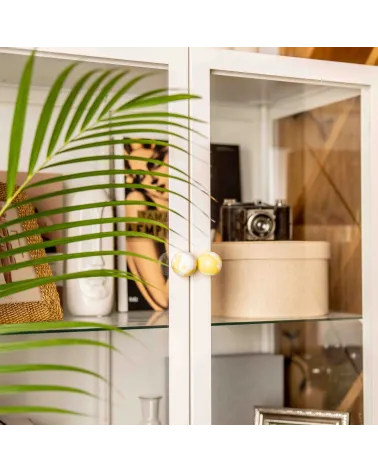 Yellow beech wood furniture knob design handle slightly angled view with a green leaf fixed on a glass door