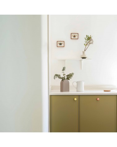 Yellow beech wood furniture knob design handle front view fixed on a cabinet