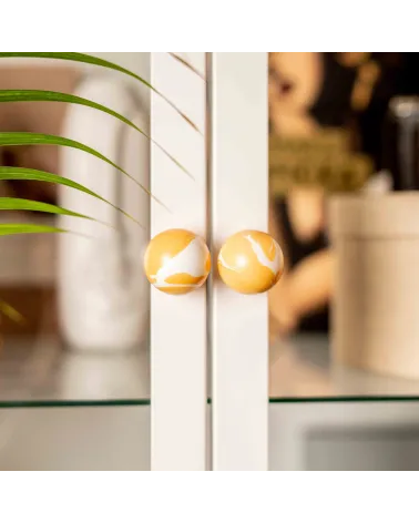 Orange beech wood furniture knob design handle close-up front view mounted on a glass door