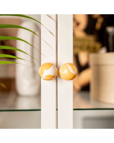 Orange beech wood furniture knob design handle close-up front view mounted on a glass door