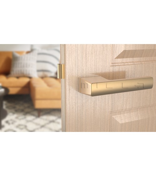 Matt gold BRISA door handle design handle