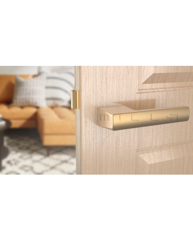 Matt gold BRISA door handle design handle mounted on a door