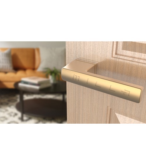 Matt gold BRISA door handle design handle