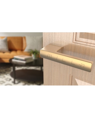 Matt gold BRISA door handle design handle mounted on an ajar door