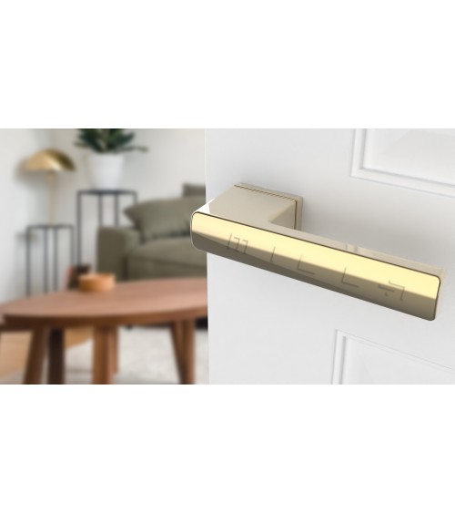 Polished gold BRISA door handle design handle