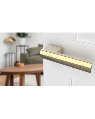 Polished gold BRISA door handle designer handle fitted on a half-open door
