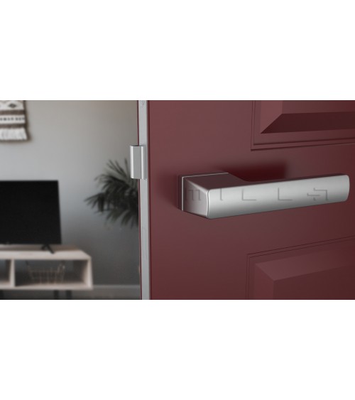 Satin chrome BRISA design door handle