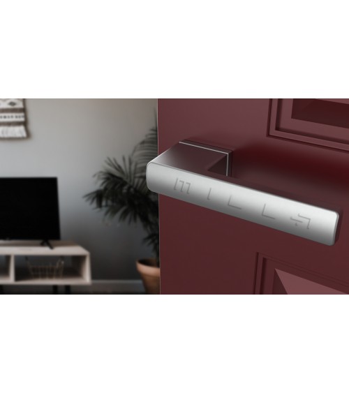 Satin chrome BRISA design door handle