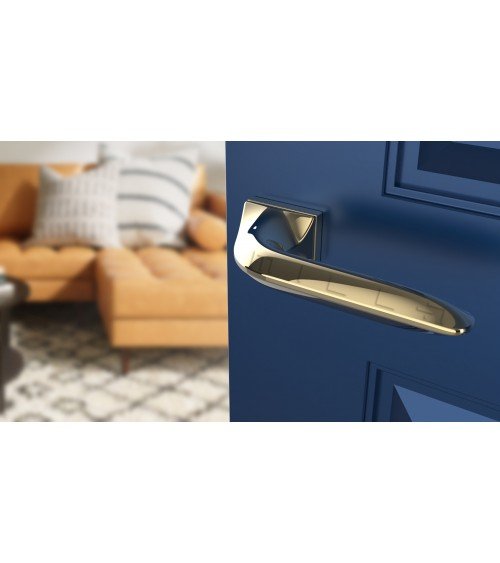 Polished gold GLADIOLA door handle design handle