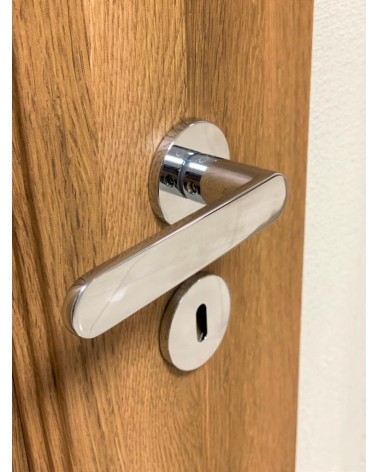 Classic Line Venus door handle design handle mounted on a door