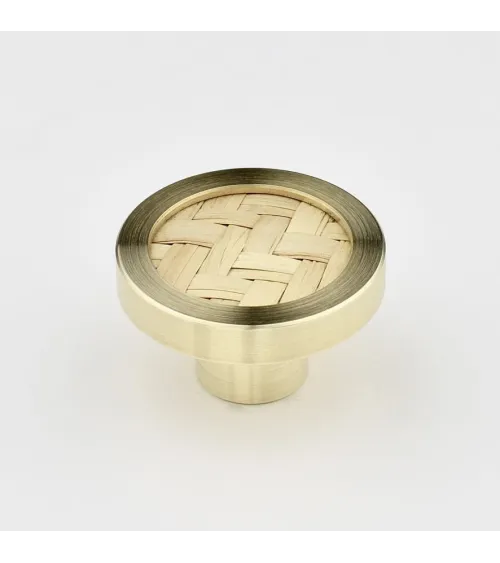 Brass and Marine Botanical Furniture Knob designer handle
