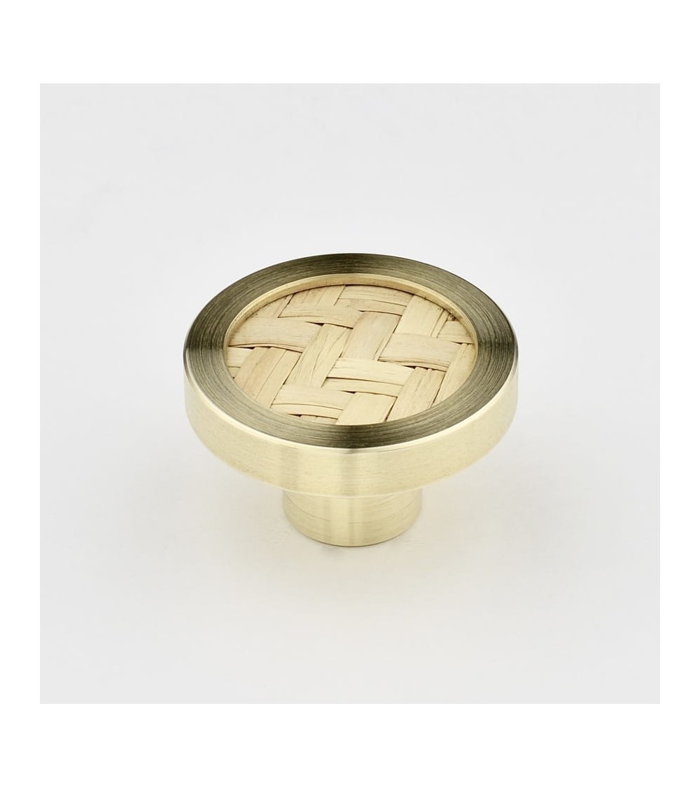 Brass and Marine Botanical Furniture Knob designer handle