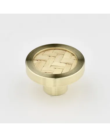 Brass and Marine Botanical Furniture Knob designer handle
