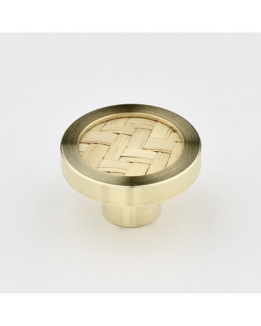 Brass and Marine Botanical Furniture Knob designer handle