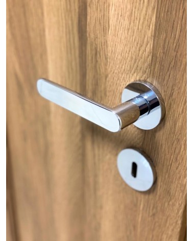 Classic Line Venus door handle design handle with rose mounted on a door