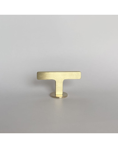 ISA T brass furniture knob designer handle front view