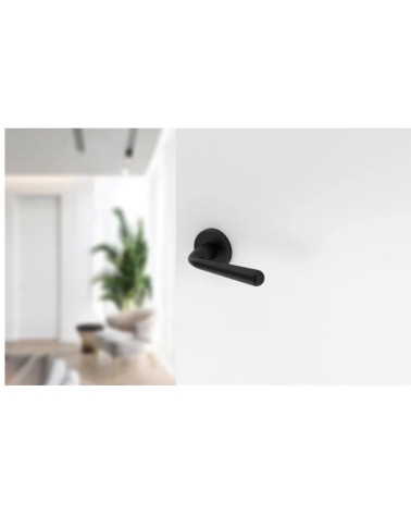 Black HANDY door handle design handle mounted on a half-open door
