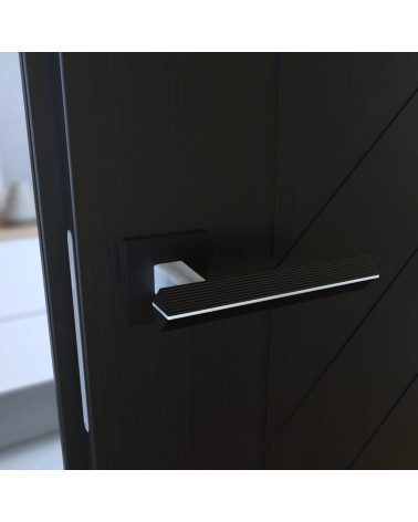 Two-tone brushed chrome/black CARRERA door handle designer handle mounted on a door