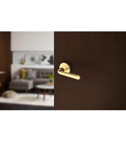 Polished gold HANDY door handle design handle