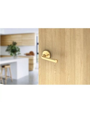 Retro HANDY door handle design handle slightly tilted mounted on a door
