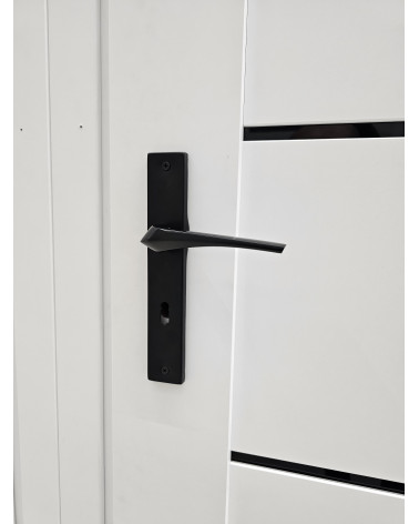 ADEL black door handle on a white door, close-up view