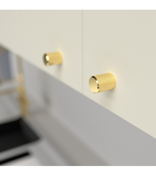 Polished gold AVANTI furniture knob designer handle