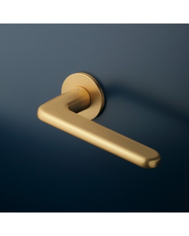 Modern LIRA door handle design handle fitted on a door