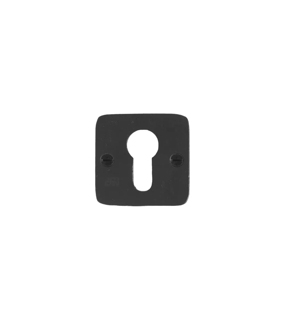 PURE Door Escutcheon Euro Profile PZ-50Q - designer hardware