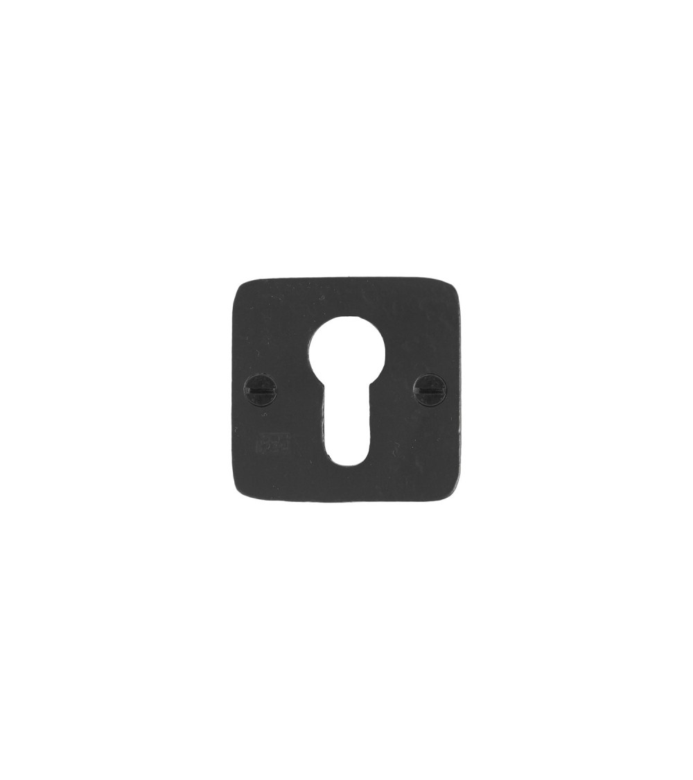 PURE Door Escutcheon Euro Profile PZ-50Q - designer hardware
