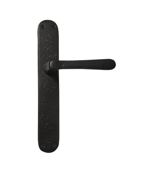 Retro handle on backplate 1925 P40 - designer handle