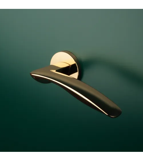 ROBINE polished gold door handle design handle