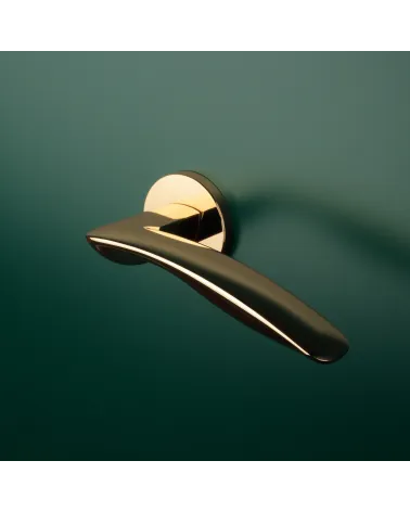 ROBINE polished gold door handle designer handle mounted on a door