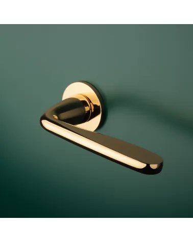 HIACYNTA polished gold door handle designer handle fitted on a door