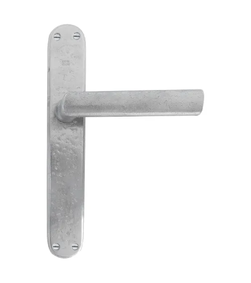 Brushed chrome handle on classic backplate P1930/P40 - designer handle