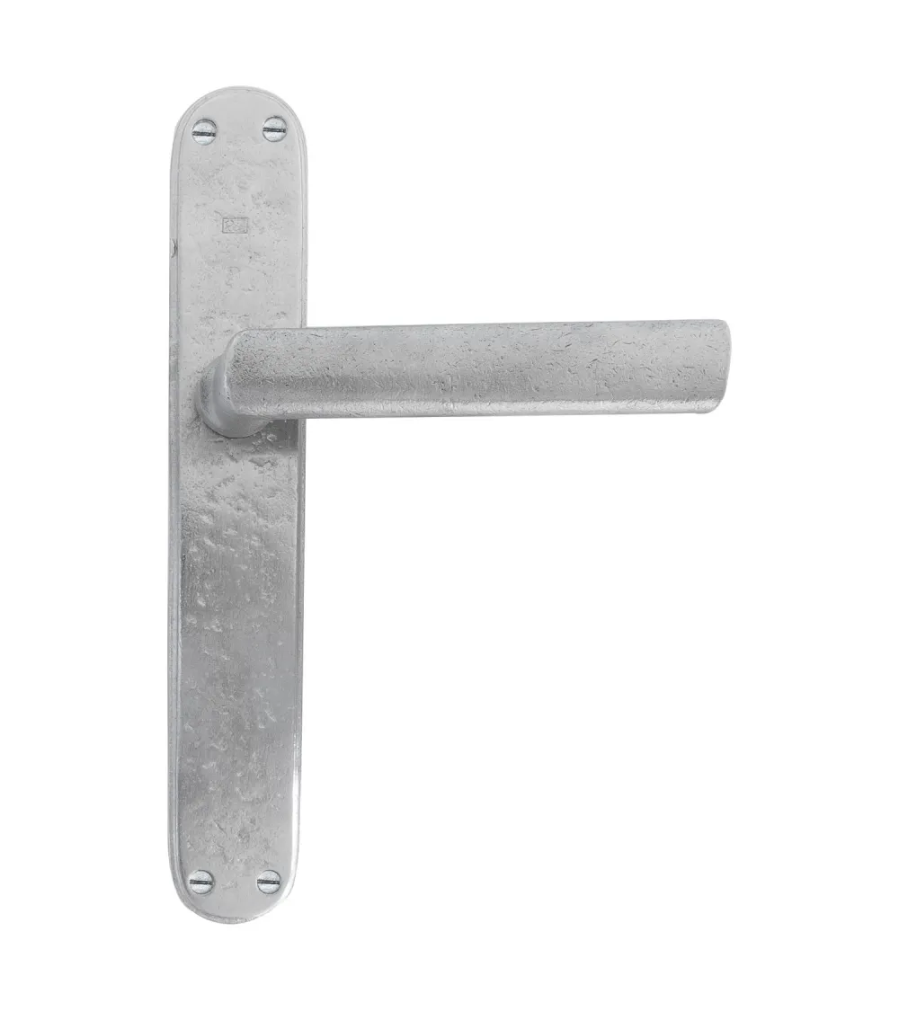 Brushed chrome handle on classic backplate P1930/P40 - designer handle