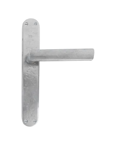 Brushed chrome handle on classic backplate P1930/P40 - designer handle