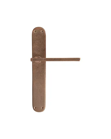 Polished brass door handle on bronze backplate P2017 - designer handle