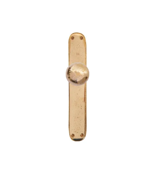 Polished gold door knob on P40 finger plate - designer handle
