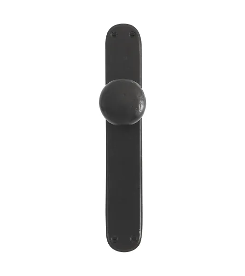 Polished gold door knob on P40 backplate - designer handle