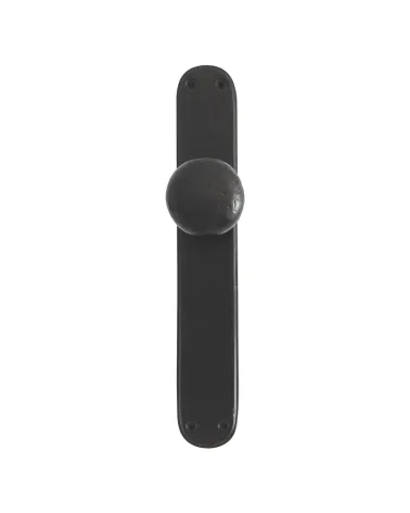 Polished gold door knob on P40 backplate - designer handle