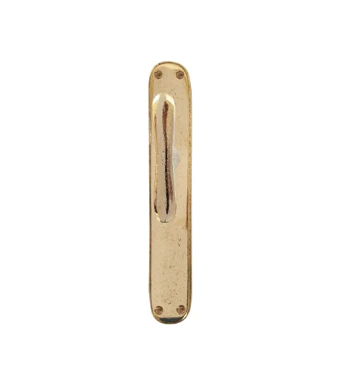 Polished gold door handle on original longitudinal plate PHTT 40 - designer handle