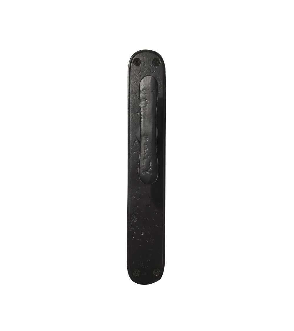 Polished gold door handle on original longitudinal plate PHTT 40 - designer handle