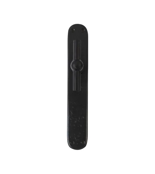 Chrome vertical door handle on BECDF iron plate - designer handle