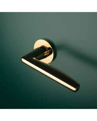 Polished gold LUNA door handle design handle mounted on a door