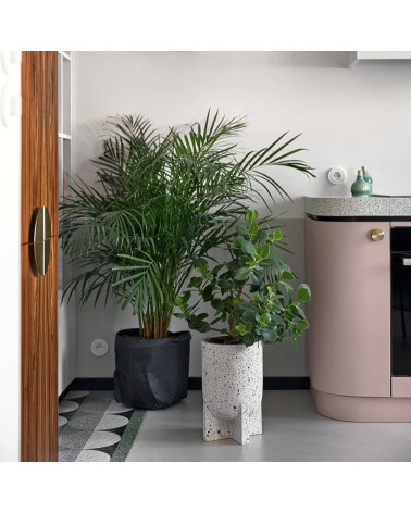 TOVE matte gold furniture knob design handle front view mounted on kitchen furniture with green plant