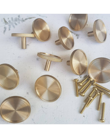 VERA brass furniture knob designer handle several handles with mounting screws