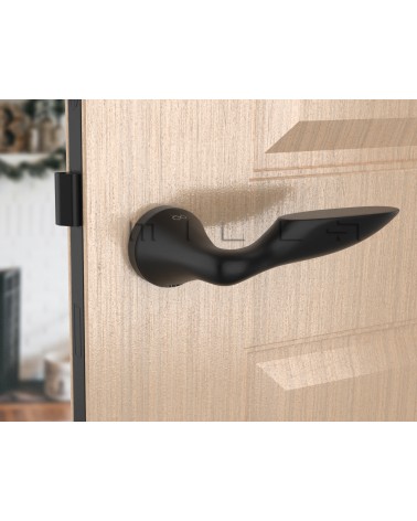 DOUCE zamak door handle design handle angled view mounted on a door