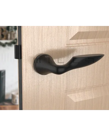 DOUCE zamak door handle design handle angled view mounted on a door